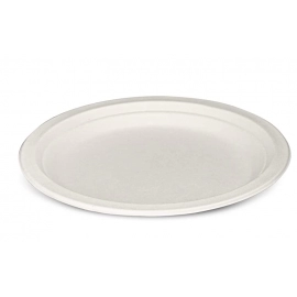 Uncoated White Plate - Use for Foodware, Events, Activities